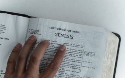 photo of person holding a bible